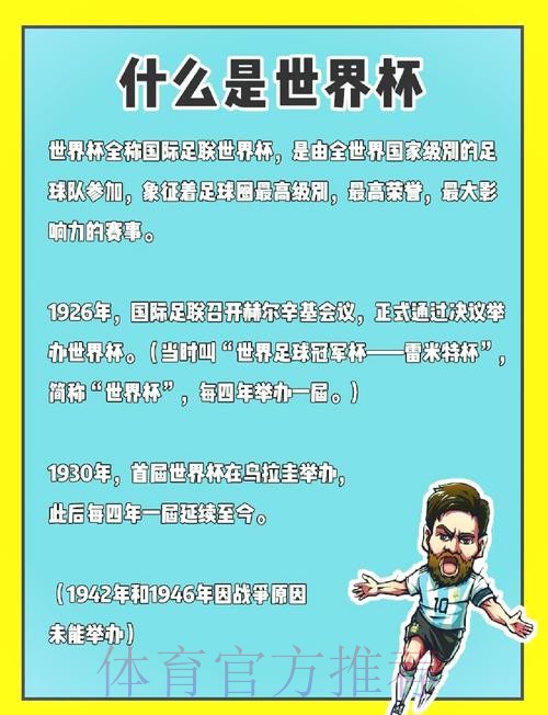 深入解读世界杯比赛分析